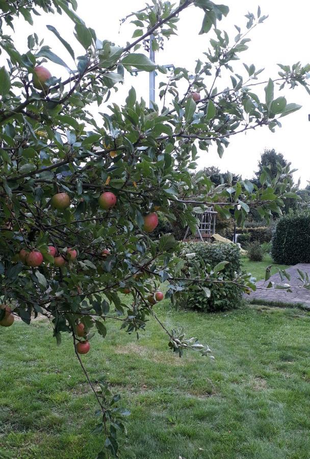 Villa Franzen Derenbach Extérieur photo
